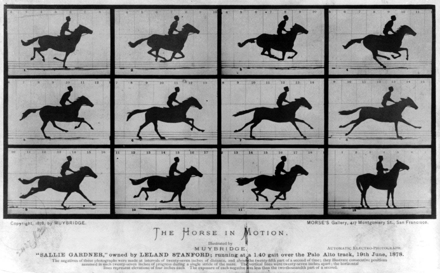 The_Horse_in_Motion by Eadward Muybridge as an example of what is timelapse.